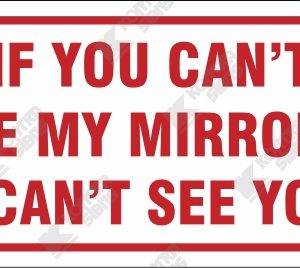 WC 786 - If You Can't See My Mirrors I Can't See You Reflective Vinyl